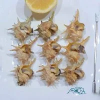 moluscos-online-mariscos-frescos-a-domicilio