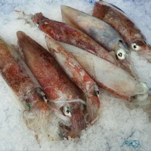 calamares-de-potera-pescaderia-online